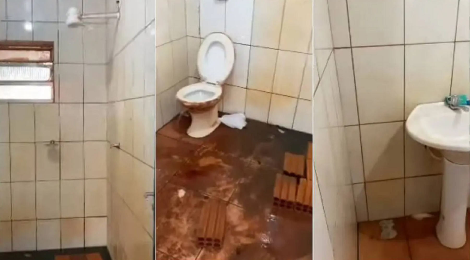 Caminhoneiro receberá R$ 10 mil por falta de higiene em banheiro da empresa