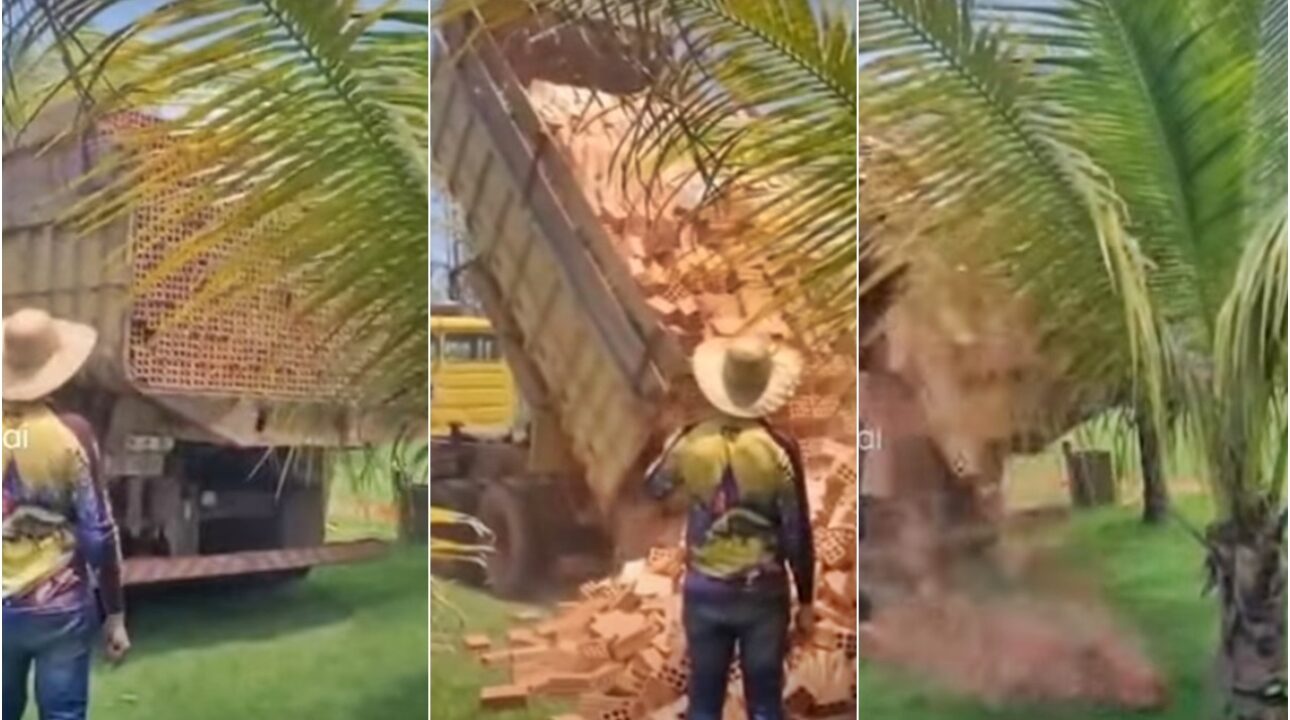 Vídeo:Caminhoneiro realiza descarregamento de tijolo de um jeito diferente