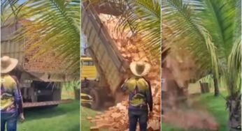 Vídeo:Caminhoneiro realiza descarregamento de tijolo de um jeito diferente