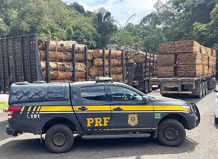 caminhão carregado de madeira