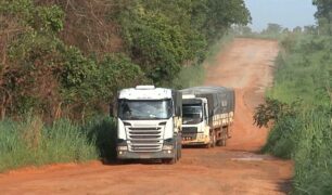 Caminhoneiros que trafegam por estradas do Piauí e Maranhão, pedem socorro diante das condições precárias das estradas