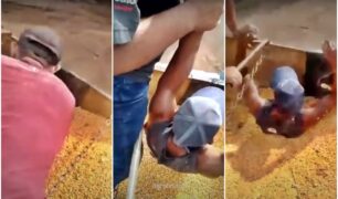 Homem preso em carga de milho