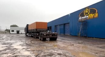 Entenda porque não se deve andar com o Dolly sozinho