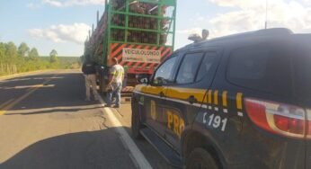 Carreta é flagrada, pela PRF, transportando toras de madeira soltas na carroceria