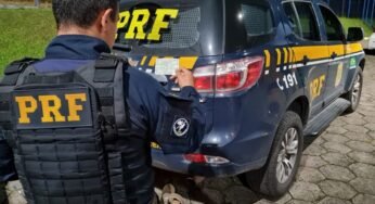 Caminhoneiro é preso por esfaquear cachorro em posto de gasolina