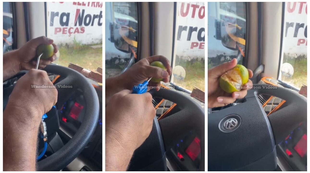 Caminhoneiro desenvolve novo método para descascar mexerica