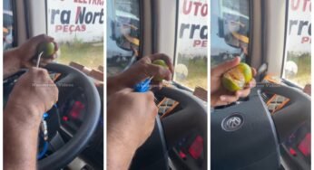 Caminhoneiro desenvolve novo método para descascar mexerica