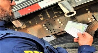 Após fiscalização realizada em 6 caminhões, PRF retira mais de 100 comprimidos de rebite de circulação