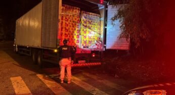 Polícia apreende mais de 100 mil latas de cerveja sem nota fiscal em caminhão