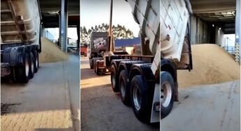 Caminhoneiro descarrega carga de arroz no chão de pátio de empresa