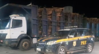 Caminhão é autuado por estar trafegando sem nota fiscal de carregamento de toras de madeira