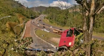 Sem freios: Caminhão atravessa área de escape no Anel Rodoviário e se choca contra árvore