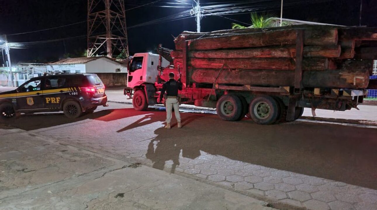 PRF apreende carga de madeira no Pará sem nenhuma documentação