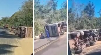 Carga de soja é saqueada após tombamento de carreta, no Paraná