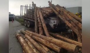 Caminhoneiro morre esmagado após toras de madeira caírem sobre a cabine do caminhão