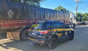 PRF apreende carga ilegal de madeira e autua caminhoneiro por crime ambiental