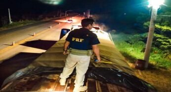 Apreensão de Caminhão e Carga de Madeira Ilegal no Amazonas pela PRF