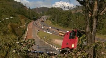 Caminhoneiro utiliza área de escape em seu trecho final e acaba batendo em uma árvore