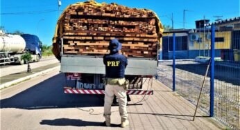 PRF Flagra Caminhão Transportando Madeira Ilegal na Bahia