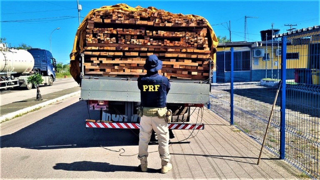 PRF Flagra Caminhão Transportando Madeira Ilegal na Bahia