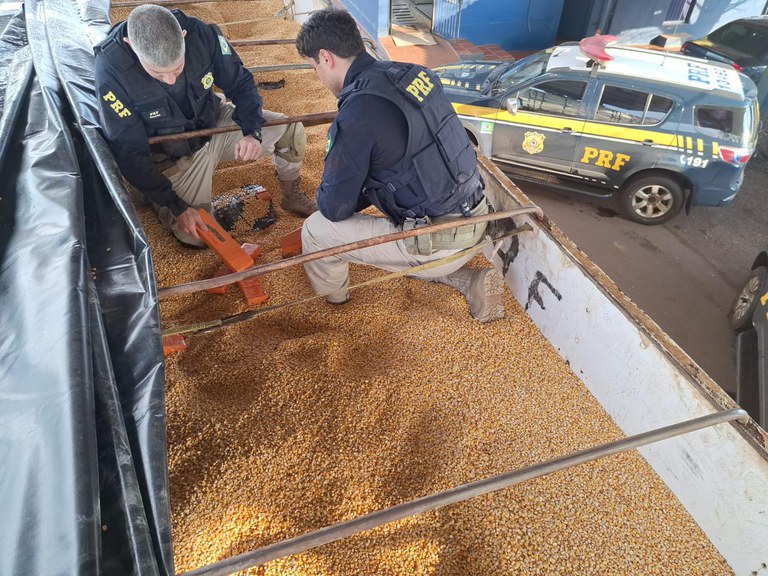 PRF aprende caminhão que levava maconha em meio a carga de milho