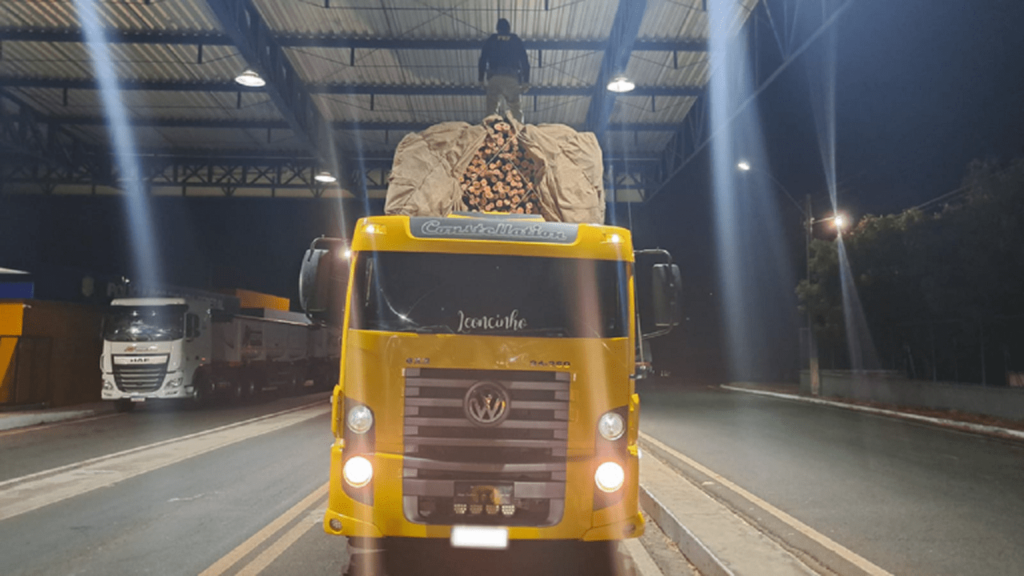 Caminhoneiro é autuado na BR-343 por transporte ilegal de madeira
