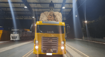 Caminhoneiro é autuado na BR-343 por transporte ilegal de madeira