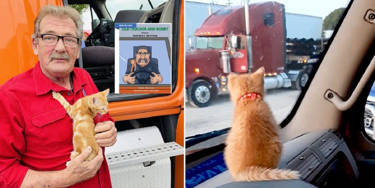 Conheça o caminhoneiro que viajava com gatos na cabine