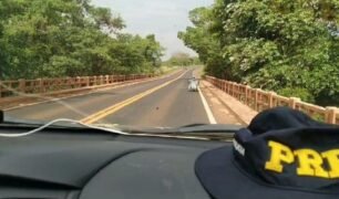 Cadeirante que circulava entre carros e caminhões em rodovia é resgatado pela PRF