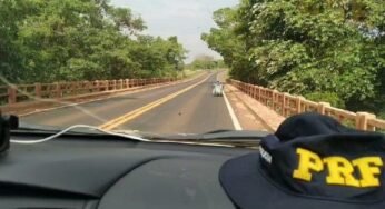 Cadeirante que circulava entre carros e caminhões em rodovia é resgatado pela PRF