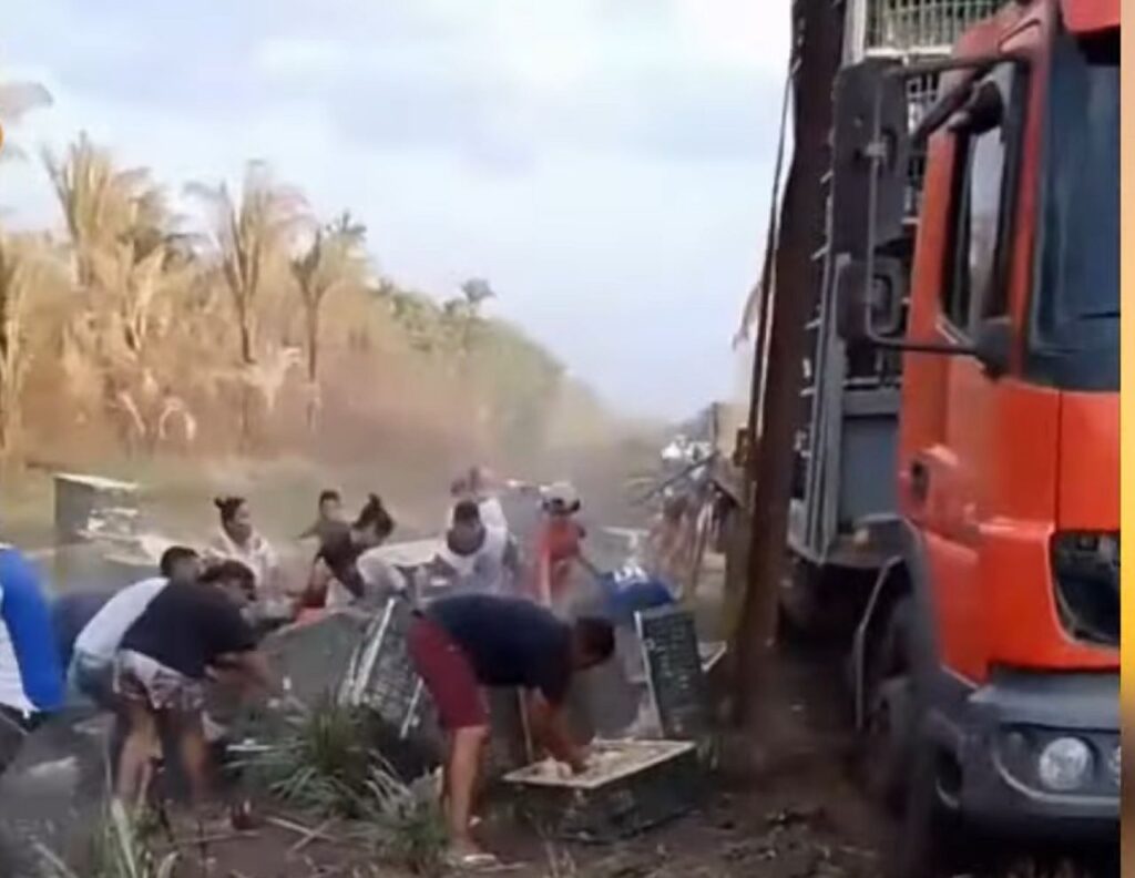 Caminhoneiro Vive Momentos de Terror com Roubo de Galinhas no Maranhão