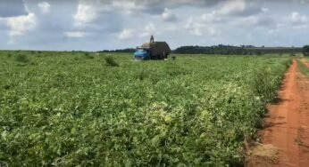 Cliente humilhou um caminhoneiro devido à idade de seu veículo de entrega