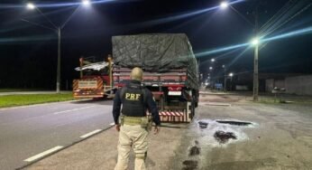 PRF apreende carga de madeira com guia falsificada
