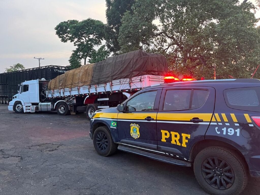 Dupla irregularidade: PRF apreende carreta adulterada e a carga de madeira ilegal