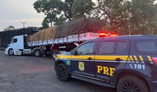 Dupla irregularidade: PRF apreende carreta adulterada e a carga de madeira ilegal