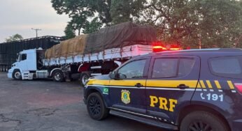 Dupla irregularidade: PRF apreende carreta adulterada e a carga de madeira ilegal