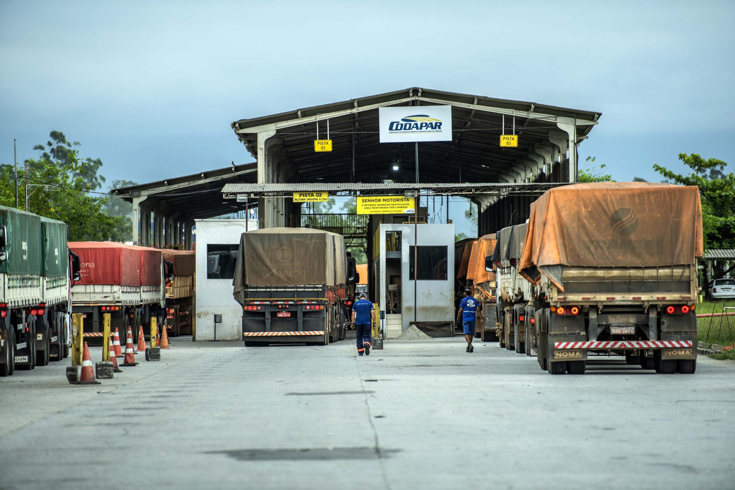 Caminhoneiro mostra como é o dia de trabalho no Porto de Paranaguá