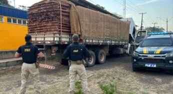 PRF Apreende carregamento ilegal de madeira serrada no Pará.