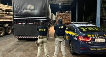 PRF Intercepção de Transporte Ilegal de 87,93 m³ de Madeira na BR-230
