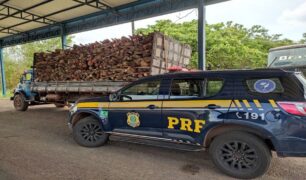 PRF apreende carga de madeira com documentação divergente