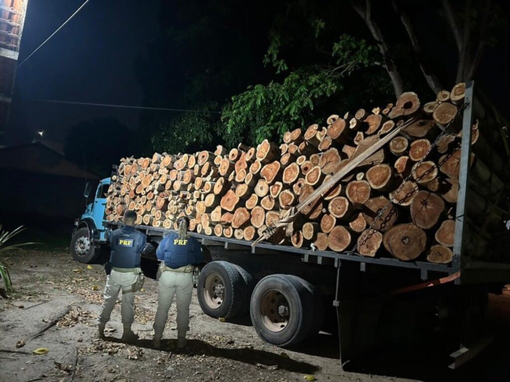 PRF apreende carga de madeira sendo transportada sem documento O carregamento não possuía o DCC, documento essencial para o transporte A Polícia Rodoviária Federal(PRF) apreendeu na última terça-feira(31) 40 m³ de madeira que estava sendo transportada de forma ilegal. O caso aconteceu na BR-155, na altura do quilômetro 339, no município de Marabá, no Pará. A corporação da PRF realizava uma fiscalização no município de Marabá, quando decidiu abordar um caminhão carregado de toras de madeira que passava pelo local aproximadamente às 1h30 da manhã. Uma inspeção de praxe foi iniciada e quando foi solicitado o documento do veículo e da madeira, o caminhoneiro pontuou que não possuía o DCC(Declaração de Corte e Colheita), documento essencial para carga que estava levando, principalmente madeira exótica como o Eucalipto. Como foi verificado, o caminhoneiro pode ser condenado por crime ambiental. A prática de não levar documento referente ao transporte ou produto vegetal se configura em um crime contra o meio ambiente. Inicialmente o veículo foi apreendido juntamente com a carga e encaminhados para Secretaria Municipal de Agricultura local para que os trâmites legais ocorressem em relação à situação. Vale ressaltar que para quem cometer crime relacionado a documentação do transporte de carga de madeira, poderá ser penalizado com a detenção além do pagamento de multa conforme a lei 9.605/98.