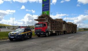 PRF autua 16 caminhões por irregularidades no transporte de cana-de-açúcar na BR-101