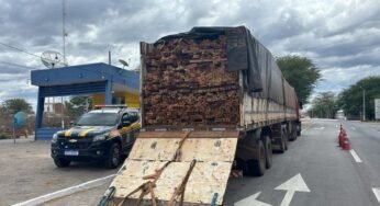 PRF na BR-232 intercepta bitrem com madeira do Pará