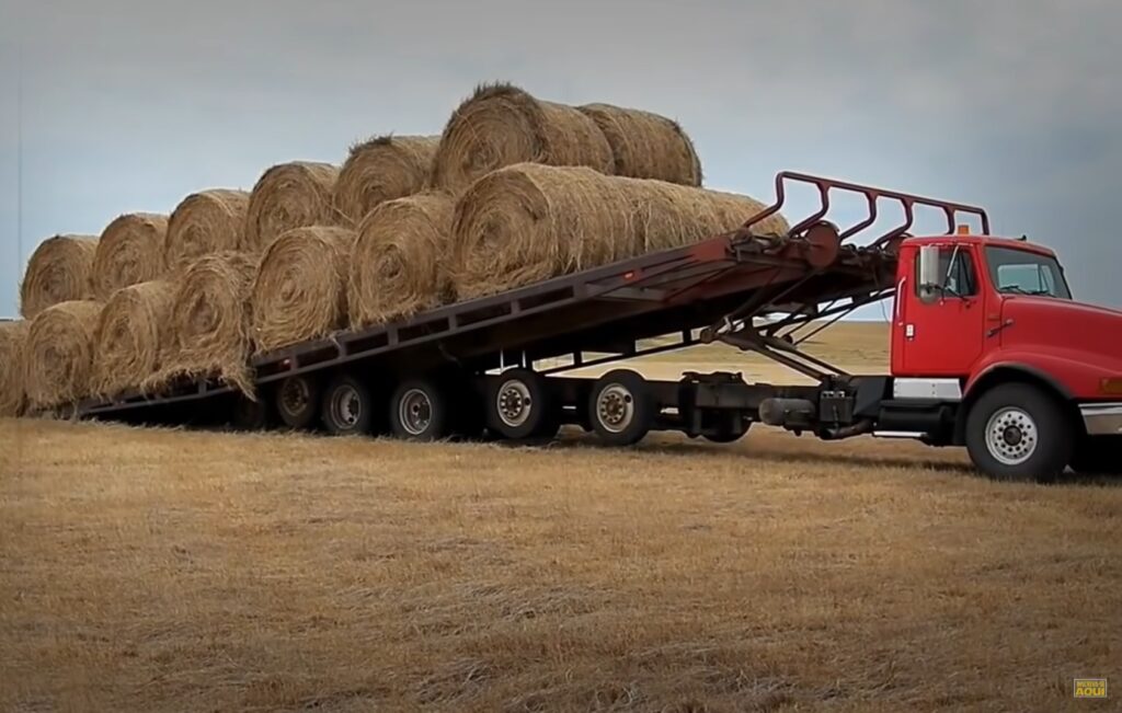 Vídeo: Veja 10 caminhões agrícolas únicos no planeta