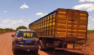 PRF prende motorista de caminhão suspeito de furtar carga de gado