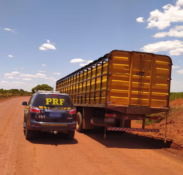 PRF prende motorista de caminhão suspeito de furtar carga de gado