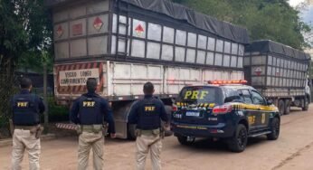 PRF apreende carga ilegal de madeira em Marabá (PA)