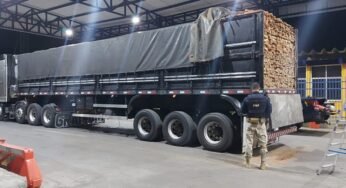 PRF apreende madeira nativa sem documentação devida