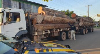 PRF realiza apreensão de 39 m³ de madeira em situação irregular