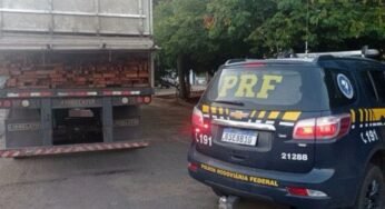 PRF realiza apreensão de aproximadamente 46 m³ de madeira em transporte irregular